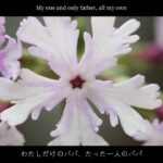 My Lovely Daddy by Lucy Shores Madeleines