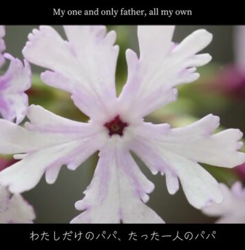 My Lovely Daddy by Lucy Shores Madeleines