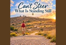 Can’t Steer What Is Standing Still by ANNimated Life